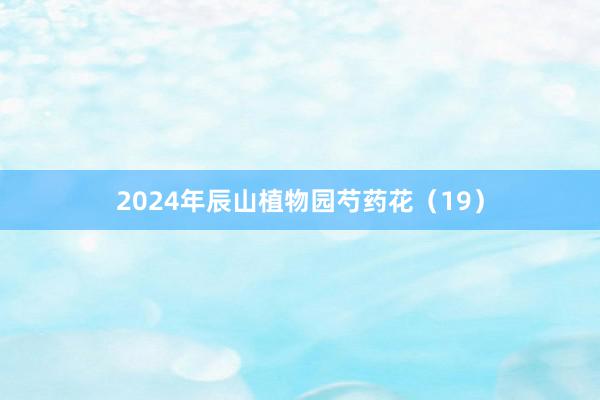 2024年辰山植物园芍药花（19）